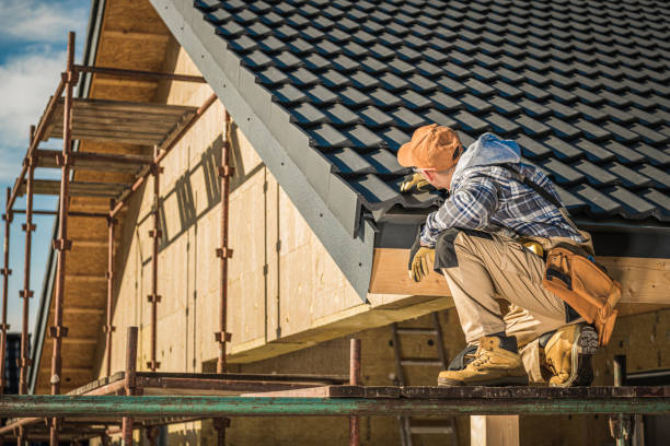 Best Sheet Metal Roofing  in Ayden, NC