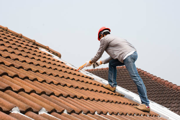 Best Steel Roofing  in Ayden, NC