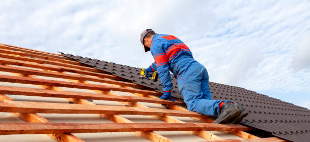 Best Chimney Flashing Repair  in Ayden, NC